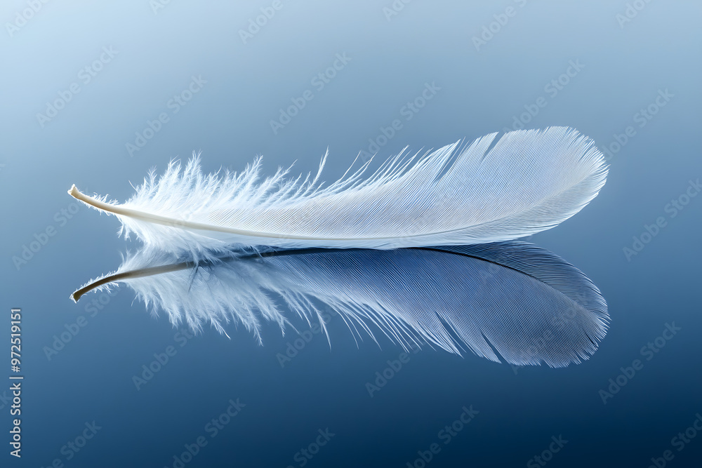 Fototapeta premium White feather floating softly against a blue background