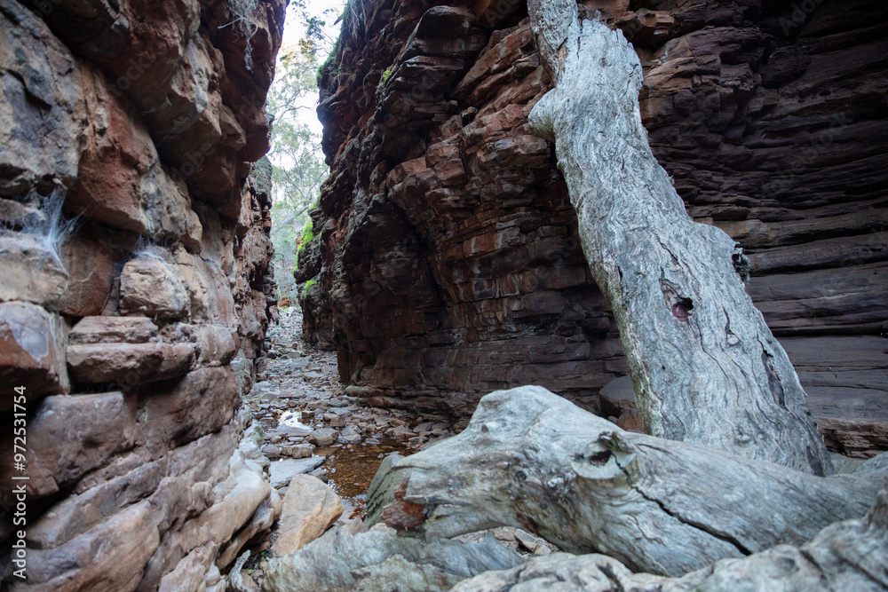 Alligator Gorge, Mount Remarkable National Park, SA, Australia Alligator Gorge, Mount Remarkable National Park, SA, Australia
