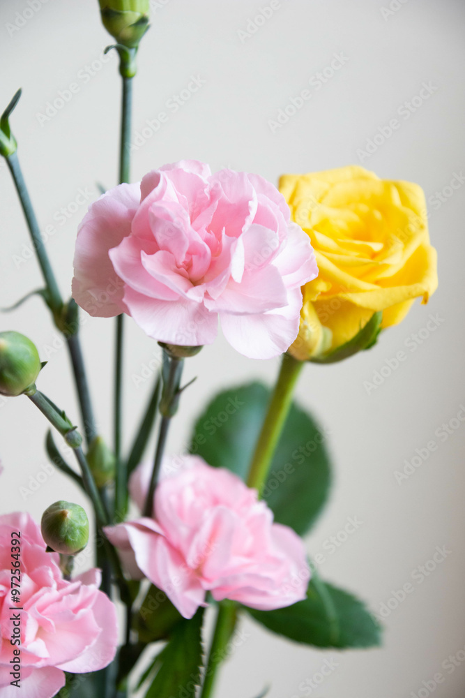 薔薇とカーネーション