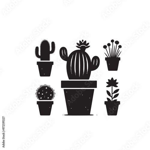 Cactus vector illustration. Desert cactus logo, icon design isolated on white background.