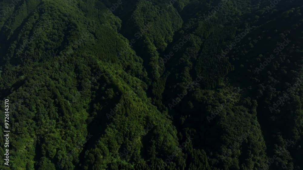 ドローン映像:青空の下、山を覆う大きな雲 ドローン映像:青空の下、山を覆う大きな雲