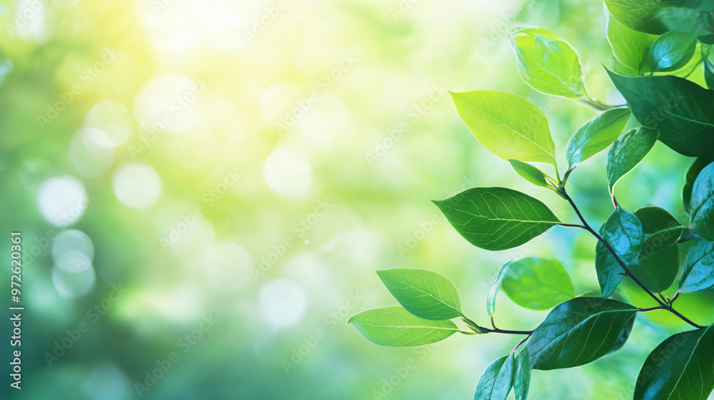 Sun shining through green leaves growing on branch in spring forest with copy space
