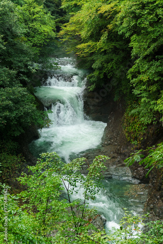 夏の鳳鳴四十八滝の風景 Houmei Shijuhachitaki waterfall photo