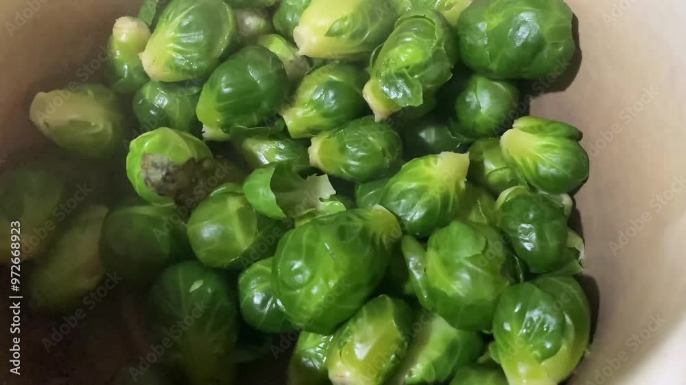 cooking boiled and roasted brussels sprouts cooking boiled and roasted brussels sprouts