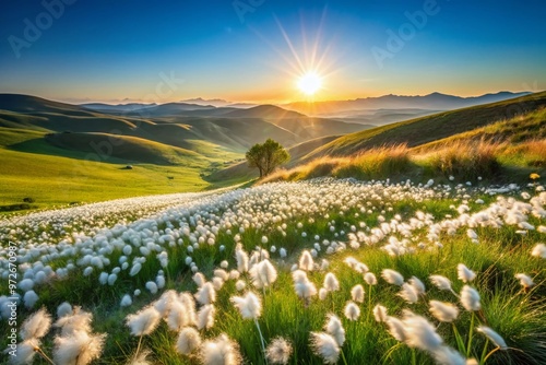 Serene landscape featuring a lush carpet of whitegrass swaying gently in the breeze, surrounded by rolling hills and photo