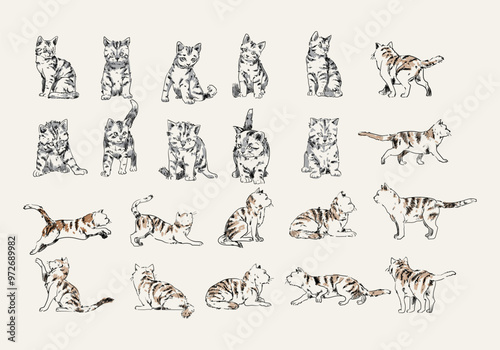 Set of Hand drawing cats vintage style vector illustration collection. Line art, outline domestic animals collection.