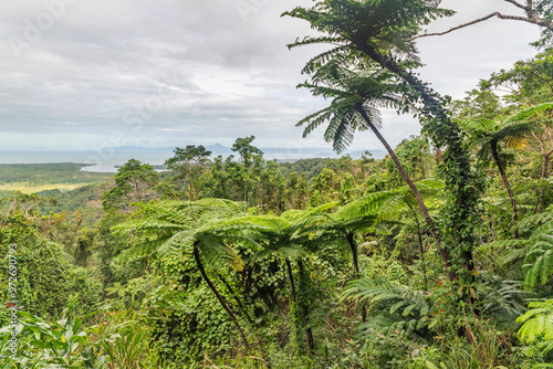 Obraz na płótnie Outstanding view from Mount Alexandra Lookout in Queensland, Australia. It is situated in Daintree Rainforest. w salonie