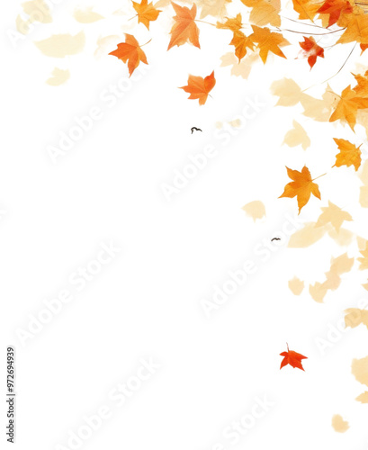 PNG Autumn leaves backgrounds maple plant. photo