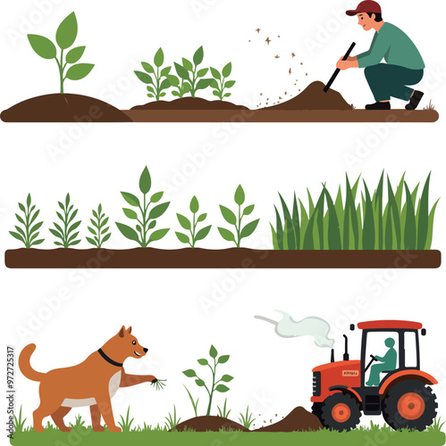 Farming and Growth Stages Illustration