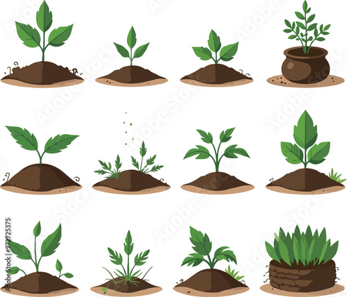 Farming and Growth Stages Illustration