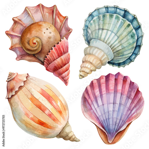 Watercolor Seashell Set of 4