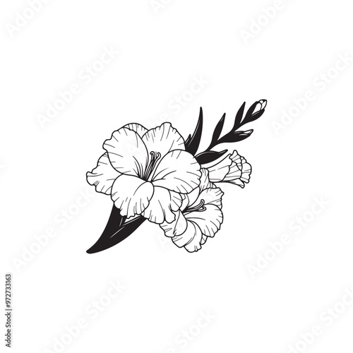 Hand-Drawn Gladiolus Flower with Leaves - Black Outline Vector.