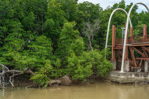 Phra chedi klang nam mangrove forest, Rayong Province, Thailand. Mangrove forest background in the wetland area where fresh water and sea water meet. Nature and environment conservation concept. photo