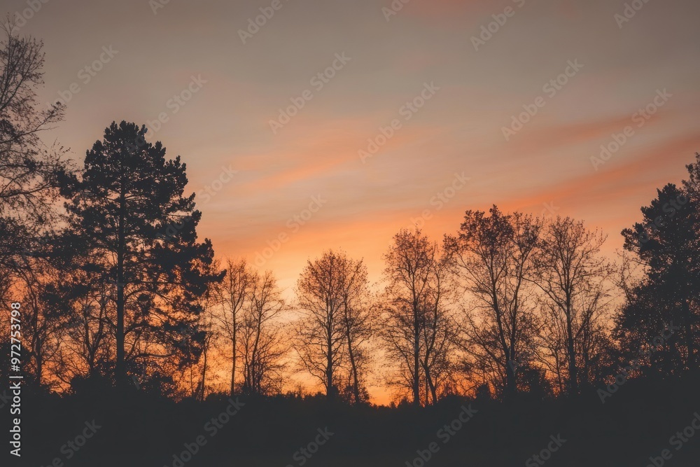 Obraz premium Silhouette of trees against a warm autumn sunrise