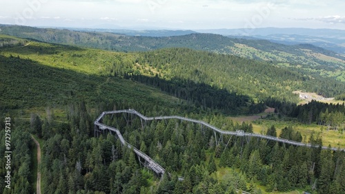A breathtaking drone video of Treetop Walk Bachledka in Slovakia, showcasing the elevated wooden pathway winding through the treetops