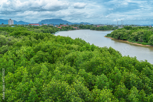 Phra chedi klang nam mangrove forest, Rayong Province, Thailand. Mangrove forest background in the wetland area where fresh water and sea water meet. Nature and environment conservation concept. photo