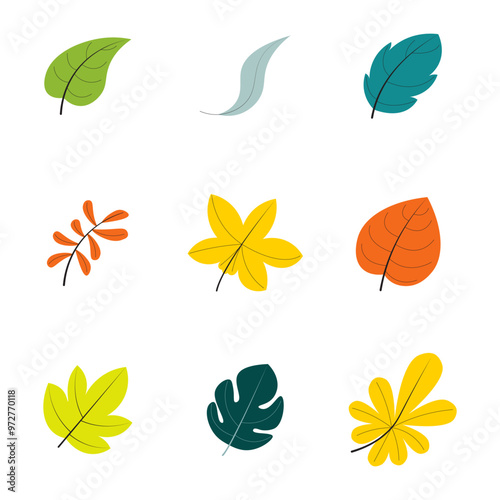 Vector of various types and shapes of leaves