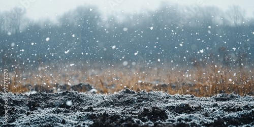 A serene landscape featuring falling snowflakes over a winter field, capturing the beauty of nature in a tranquil moment.