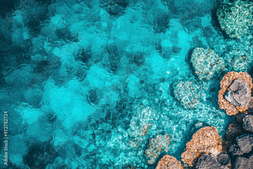 Top-Down View of Coral Reefs and Clear Blue Sea.