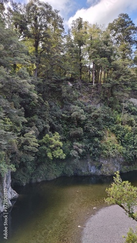 Rivendell filming location Lord of the Rings in Kaitoke Regional Park, New Zealand