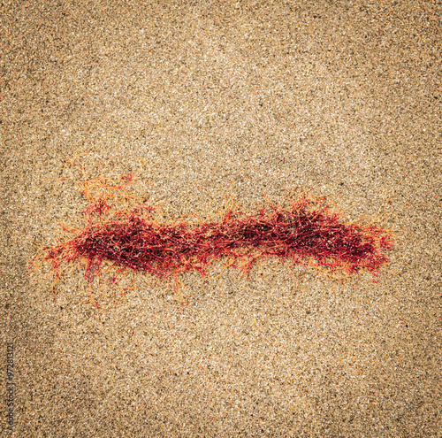 A square HDR image of a solitary patch of Red Seaweed, Ceramium virgatum, on a beach in South Uist, Outer Hebrides, Scotland. photo