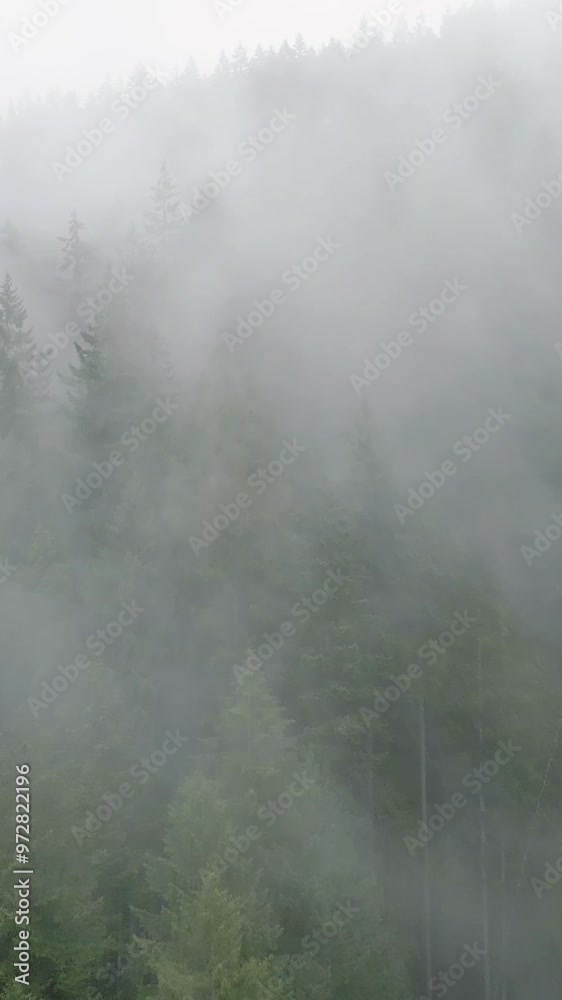 Aerial view of beautiful mountain landscape. Fog rises over the mountain slopes Aerial view of beautiful mountain landscape. Fog rises over the mountain slopes