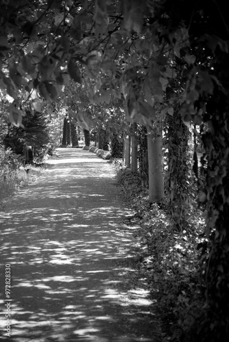 Autumn season - alley in the park