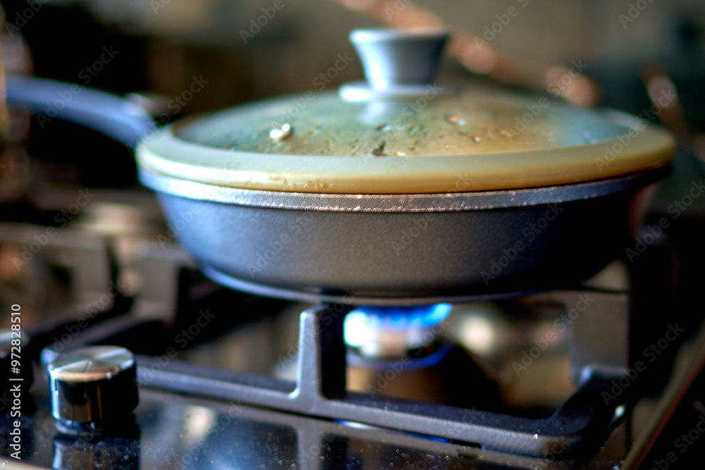 the frying pan is on the gas stove in the kitchen the frying pan is on the gas stove in the kitchen