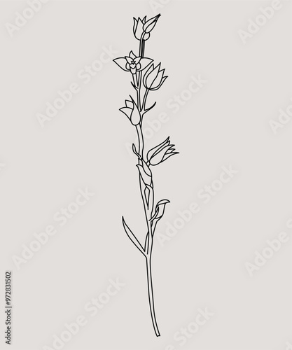 Disegno stilizzato di pianta. Schizzo fiore minimal, tratto linee. Catalogo botanica