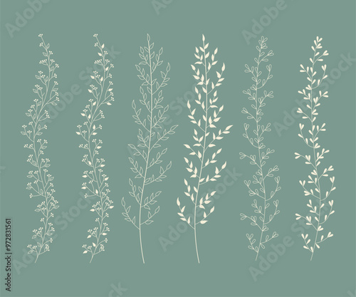 Disegno stilizzato di pianta. Schizzo fiore minimal, tratto linee. Catalogo botanica