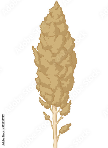 Sorghum Stalk Crop Ear Sheaf Cartoon
