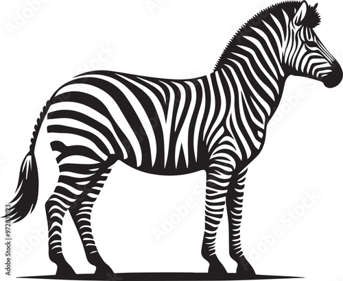  African zebra side and front view outline striped silhouette animal design flat vector illustration isolated on white background. photo