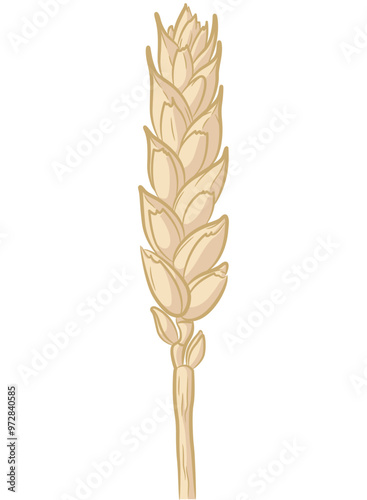 Wheat Stalk Rice Ear Straw Cartoon