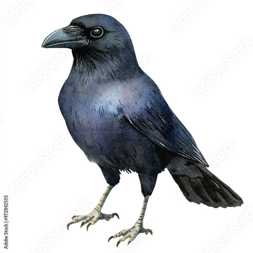 cute Crow watercolor clipart illustration isolated