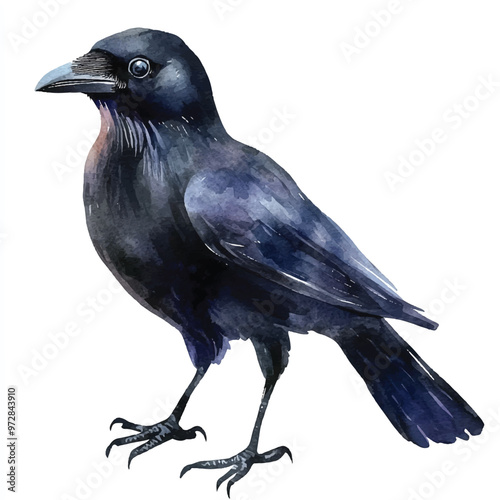 cute Crow watercolor clipart illustration isolated