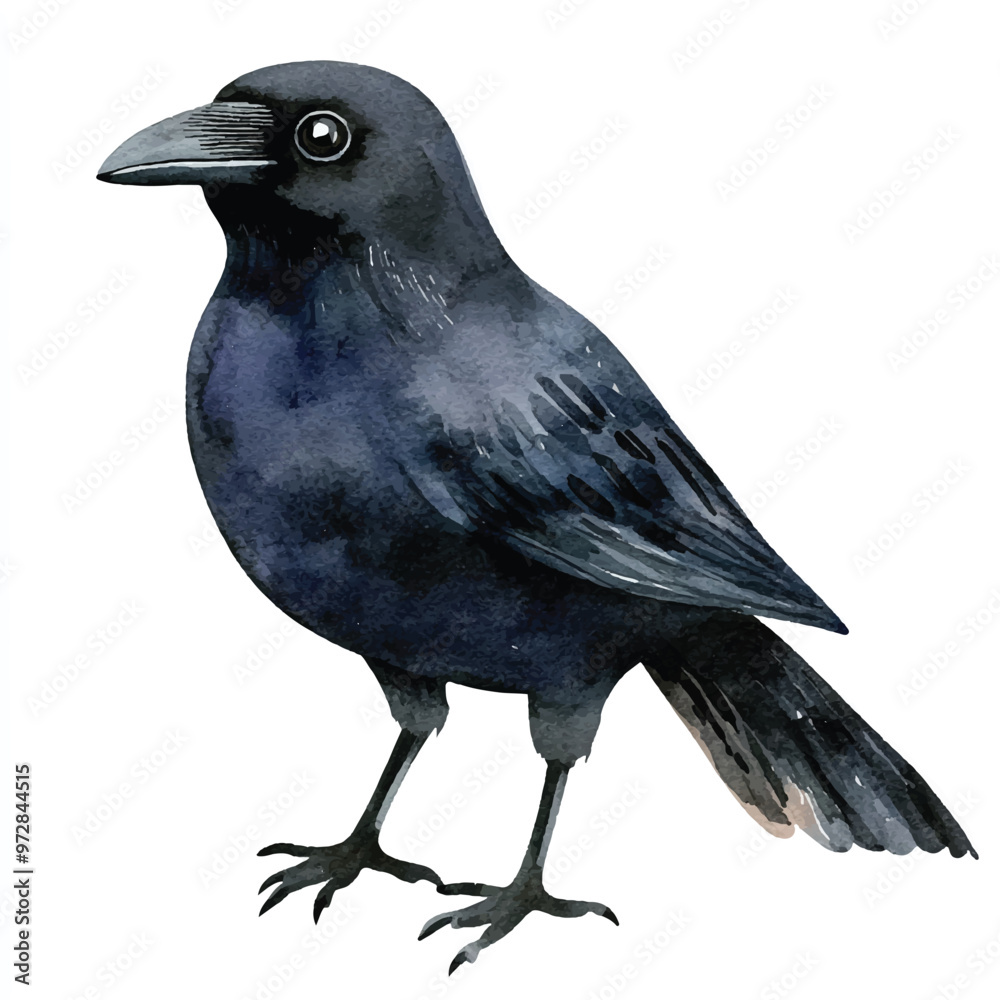Fototapeta premium cute Crow watercolor clipart illustration isolated
