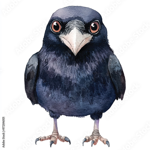 cute Crow watercolor clipart illustration isolated