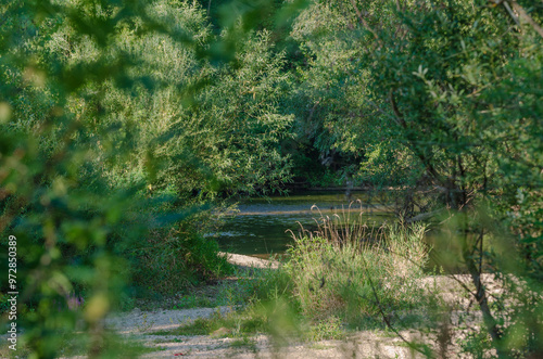 Nera hidden between trees 