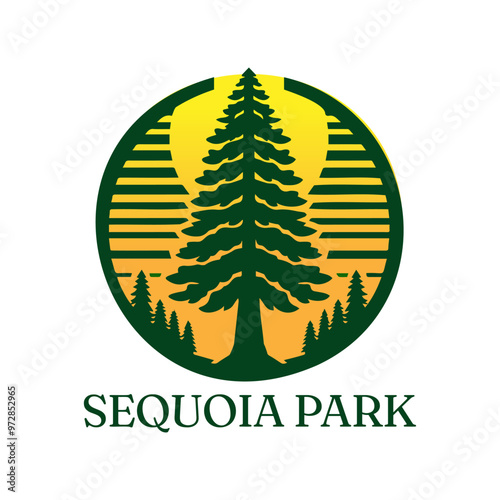 Sequoia Tree with Sunset as Background Vector Logo Concept 