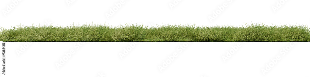 Fototapeta premium Grass, Front view without background and environment, png
