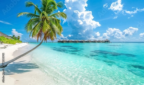 Tranquil beach with palm tree and overwater bungalows under a clear blue sky by the ocean, sandy shore with calm turquoise waters stretching to the horizon