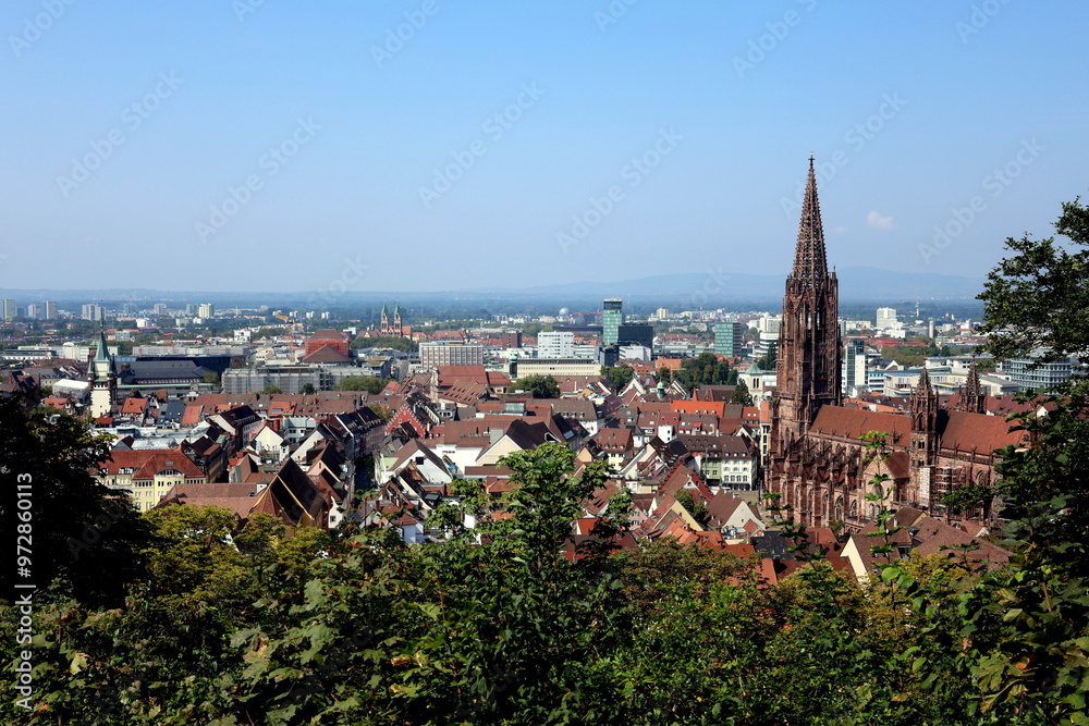 Blick aufs Freiburger Münster im Sommer Blick aufs Freiburger Münster im Sommer