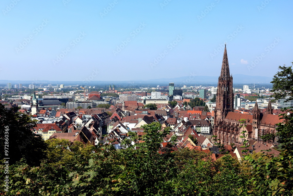 Obraz premium Blick aufs Freiburger Münster im Sommer