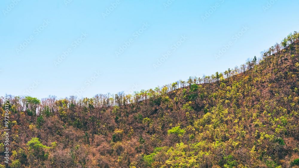 Beautiful view of green trees growing on top of mountain range in rainy season and the drought in summer has passed. Ecology of trees and seasonal environments. Beautiful landscape nature concept. Beautiful view of green trees growing on top of mountain range in rainy season and the drought in summer has passed. Ecology of trees and seasonal environments. Beautiful landscape nature concept.