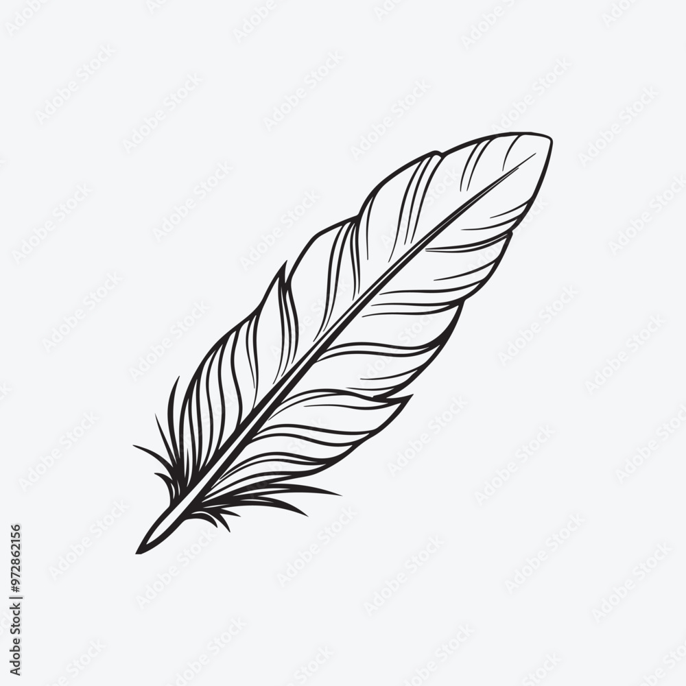 Obraz premium feather isolated on white background