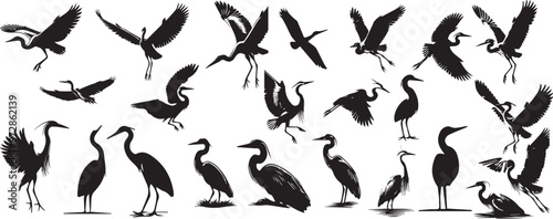 heron silhouettes vector art