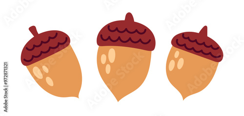 Acorn set. Oak nut, seed. Autumn cozy decoration elements. Flat Vector illustration isolated on white background