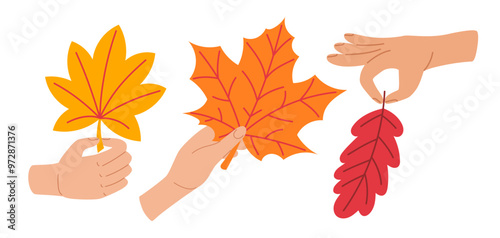 Hands hold autumn leaves. Autumn cozy design elements. Fingers hold fall foliage set. Flat Vector illustration isolated on white background