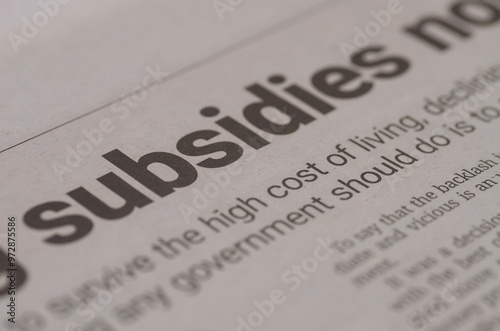 Subsidies can be a controversial issue, as they involve balancing economic goals with social needs and concerns about government spending.