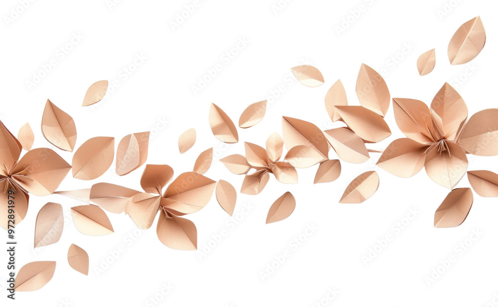 PNG Coffee plant petals plants border flower backgrounds origami. PNG Coffee plant petals plants border flower backgrounds origami.